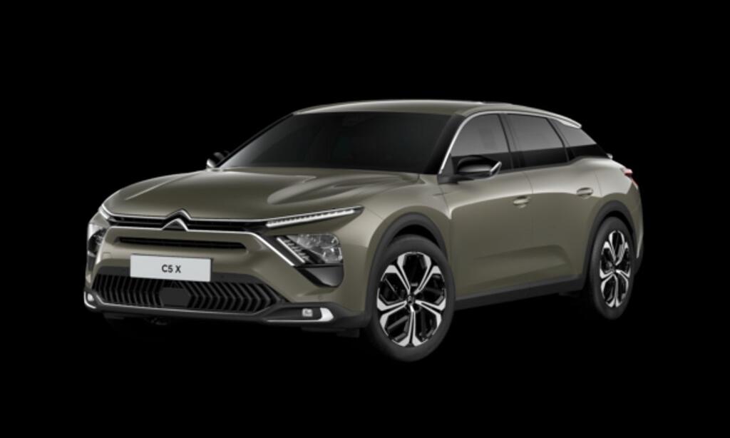 Citroën C5 X PureTech 96kW (130CV) S&S EAT8 Plus - Foto 385