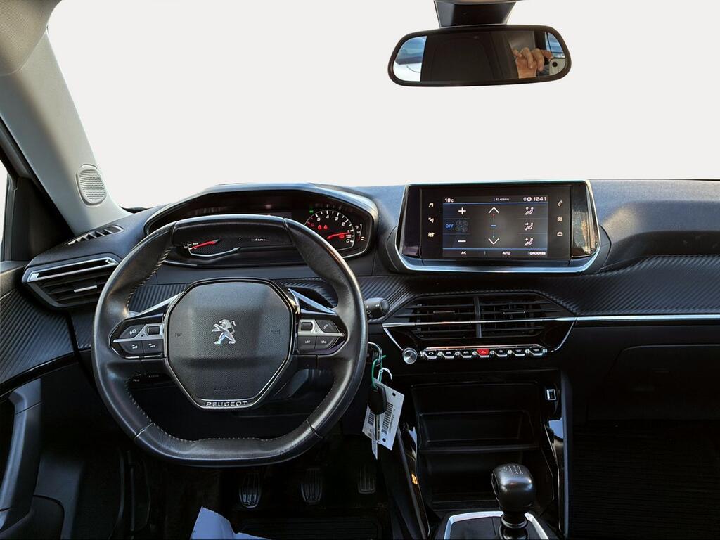 Peugeot 2008 Active Pack BlueHDI 81kW (110CV) - Foto 1318