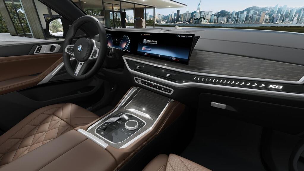 BMW X6 xDrive30d M Sport - Foto 185